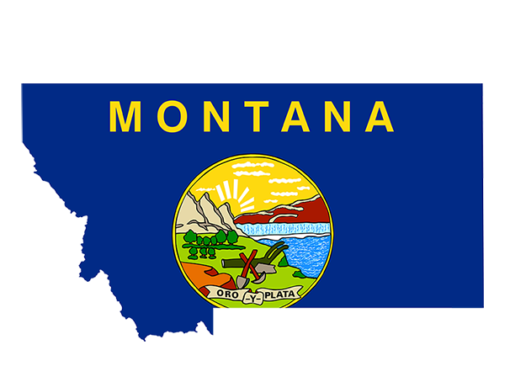 State of Montana and Governor Greg Gianforte